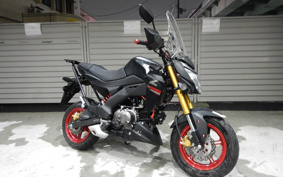 KAWASAKI Z125 PRO BR125H