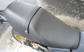 YAMAHA XSR900 GP 2024 RN96J