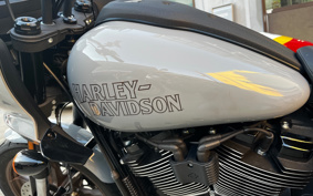 HARLEY FXLRST 2024 YXZ