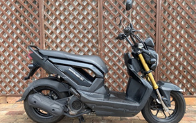 HONDA ZOOMER-X JF52