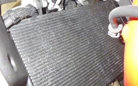 YAMAHA XSR900 GP 2024 RN96J