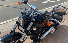 HARLEY FXBR 2024 YEZ