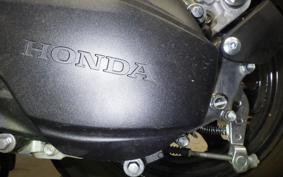 HONDA TACT Basket 2016 AF79