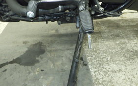 HARLEY XG750 STREET ROD 2021