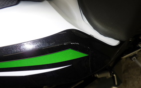 KAWASAKI Z250 Gen.2 EX250P