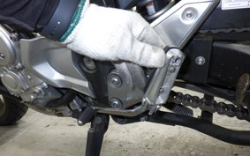 YAMAHA FZ1 FAZER 2009 RN21J