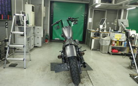 HARLEY XL883N 2015
