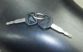 HONDA CBR1000RR 2006 SC57