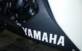 YAMAHA YZF-R3 2019