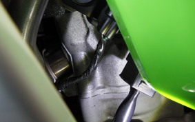 KAWASAKI ZX-4RR 2024 ZX400P