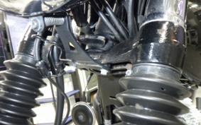KAWASAKI W800 2025 EJ800E