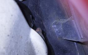 HONDA GYRO CANOPY 2015 TA03