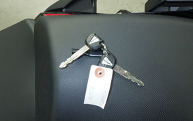 KAWASAKI NINJA 1000 SX 2024