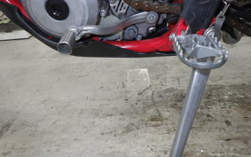 GASGAS EC 250 F 1991