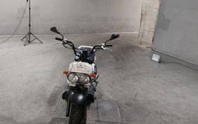 HONDA ZUMAR AF58