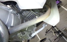 HONDA C110 SUPER CUB 2023 JA10