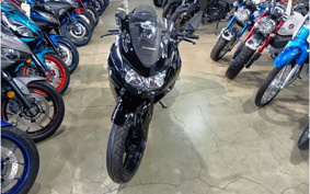 KAWASAKI NINJA 250R EX250K