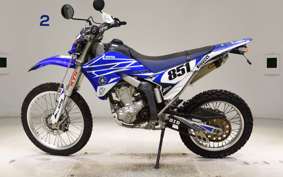 YAMAHA WR250R 2010 DG15J