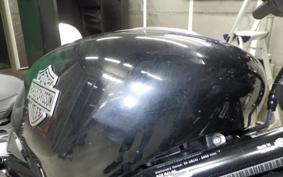 HARLEY RH975 2024