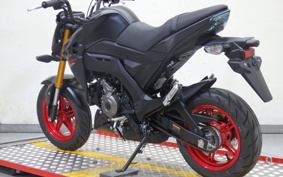 KAWASAKI Z125 PRO BR125H