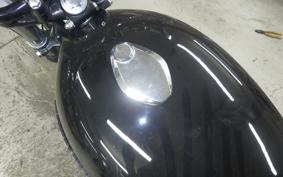 KAWASAKI Z900 2024 Z1F