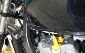 HONDA HORNET 250 2025 MC31