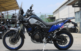 YAMAHA TENERE 700 2020 DM09J