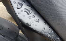 KAWASAKI Z125 PRO BR125H