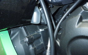 KAWASAKI ZX 1400 NINJA R A 2019