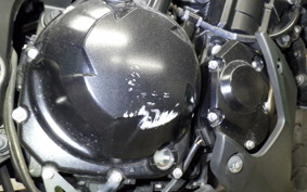 KAWASAKI Z1000 Gen.4 2010