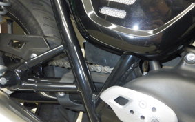 TRIUMPH SPEED TWIN 900 2024