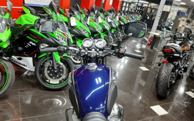 KAWASAKI W800 2014 EJ800A