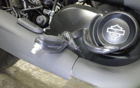 HARLEY XG750 STREET ROD 2020