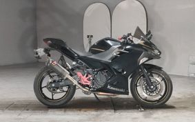 KAWASAKI NINJA 250 EX250P