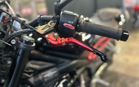 TRIUMPH STREET TRIPLE R LOW 2019 HDA434