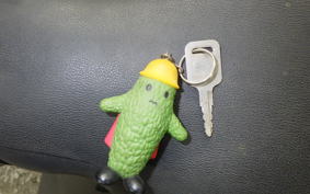 KAWASAKI ESTRELLA CUSTOM 1996 BJ250A