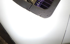 SUZUKI ｽｳｨｯｼｭ125 2025 DV12B