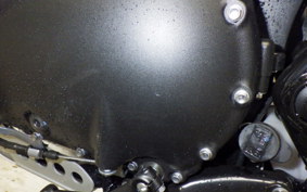 TRIUMPH SCRAMBLER 900 2025