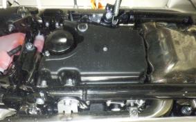 TRIUMPH SPEED TWIN 900 2026