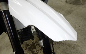 YAMAHA WR250X DG15J