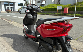 HONDA LEAD 110 JF19