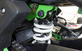KAWASAKI NINJA 250 SL