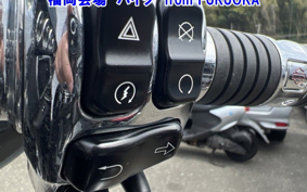 HARLEY Davidson PXL