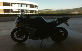 YAMAHA YZF-R25 RG10J