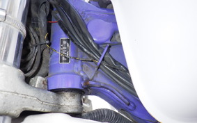 YAMAHA TT250R RAID 4GY