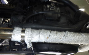 KAWASAKI 250TR 2025 BJ250F