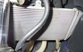 YAMAHA YZF-R25 2002 RG10J