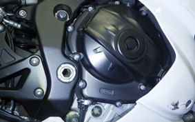 SUZUKI GSX-R1000R A 2019