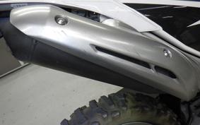 YAMAHA WR250R 2006 DG15J
