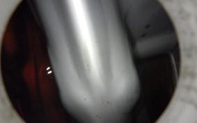 HONDA XL DEGREE 2026 MD26